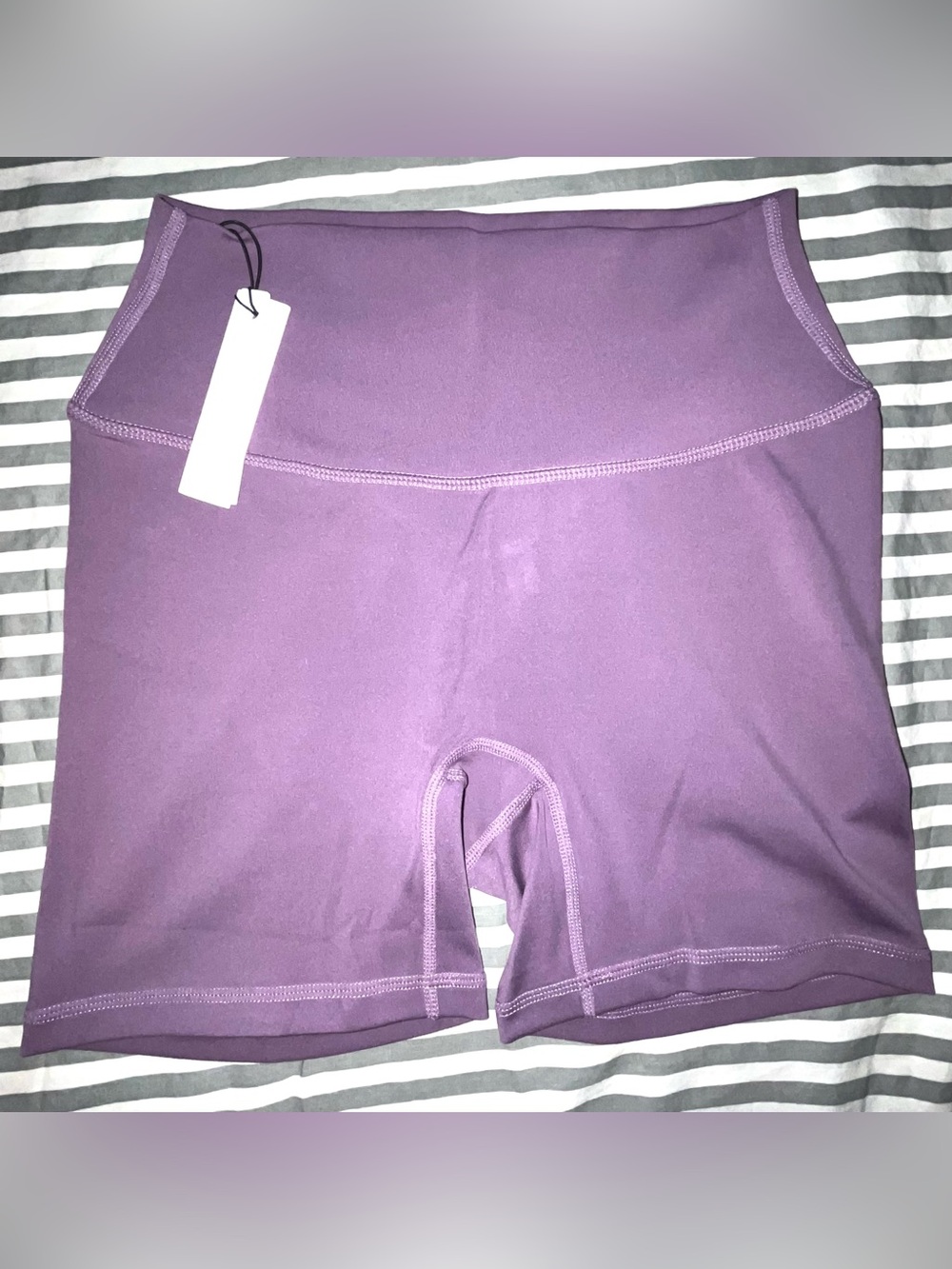 Paragon Fitwear Reluna Original High-Rise Sculptseam Short 5" in Mauve Sz M